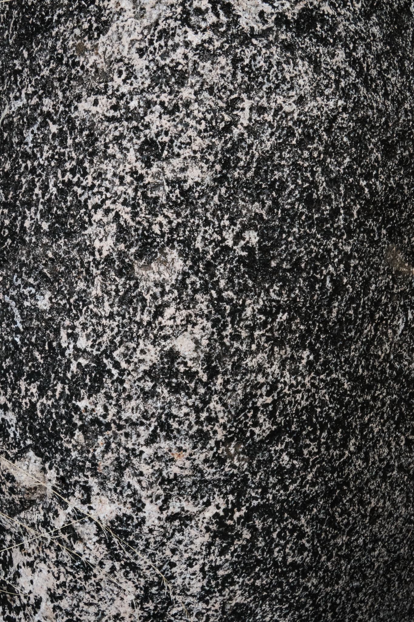 El terroir