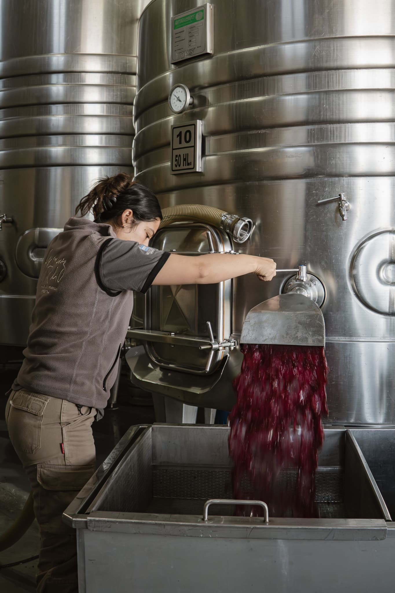 La cocina del vino