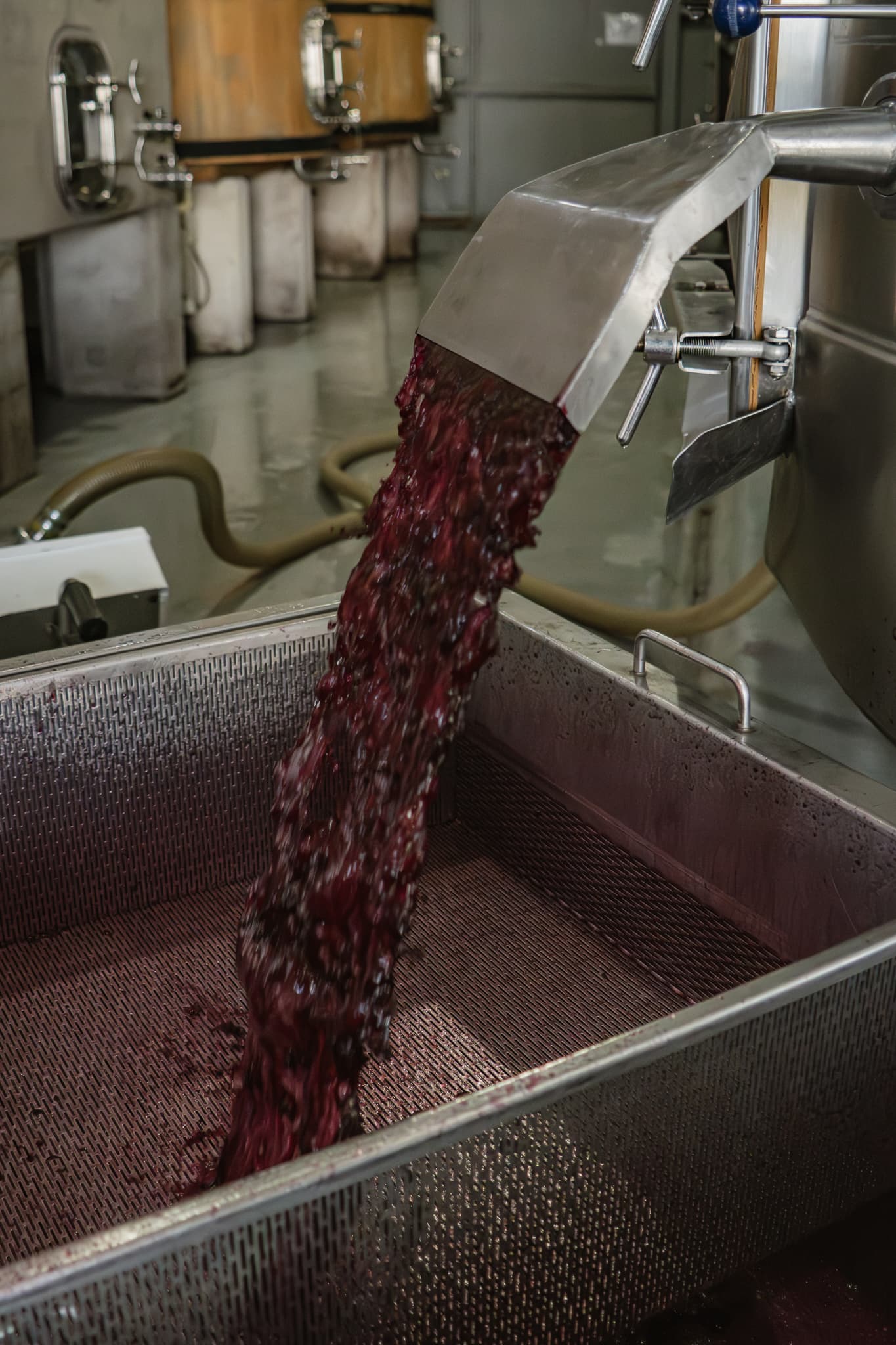 La cocina del vino