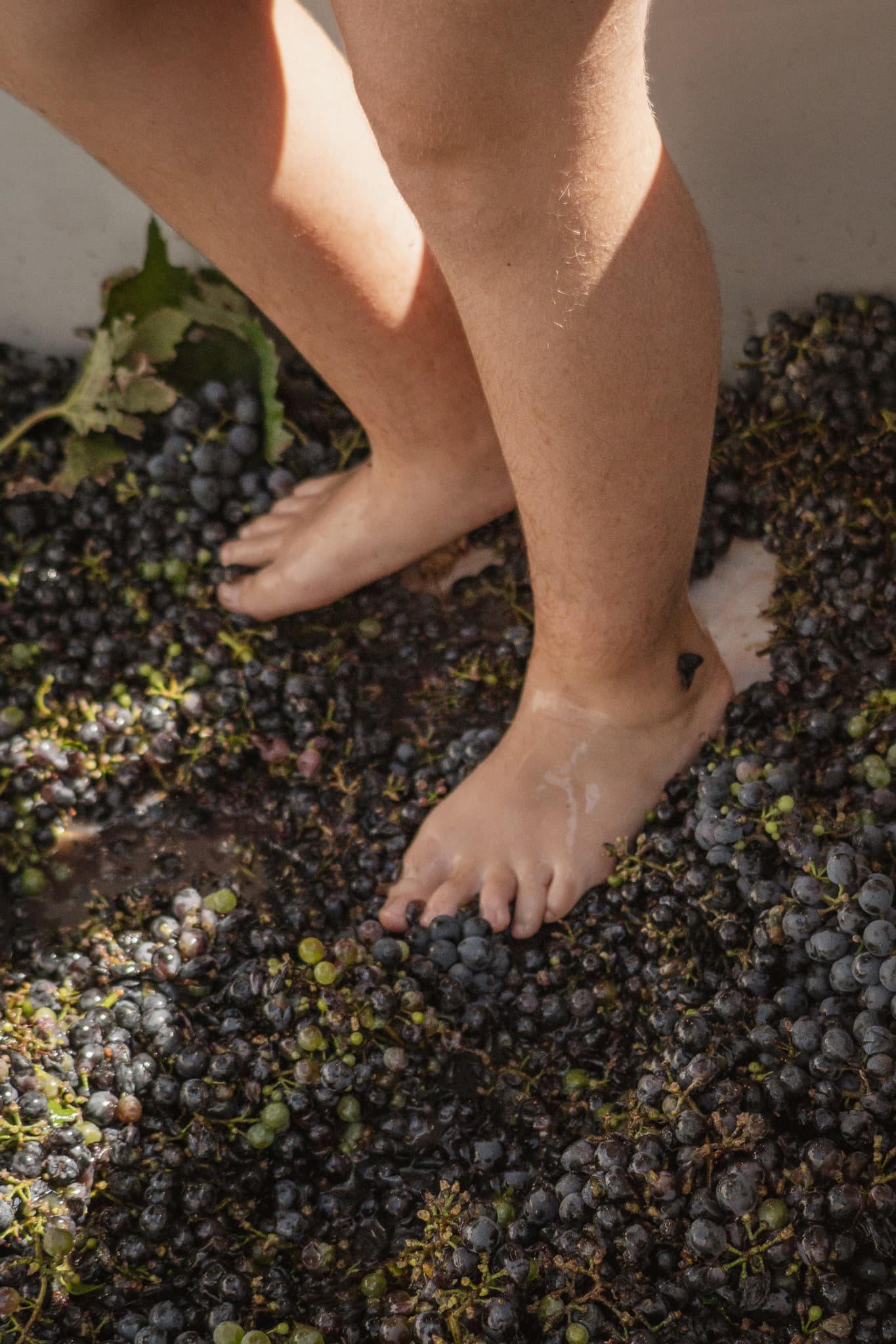 La cocina del vino