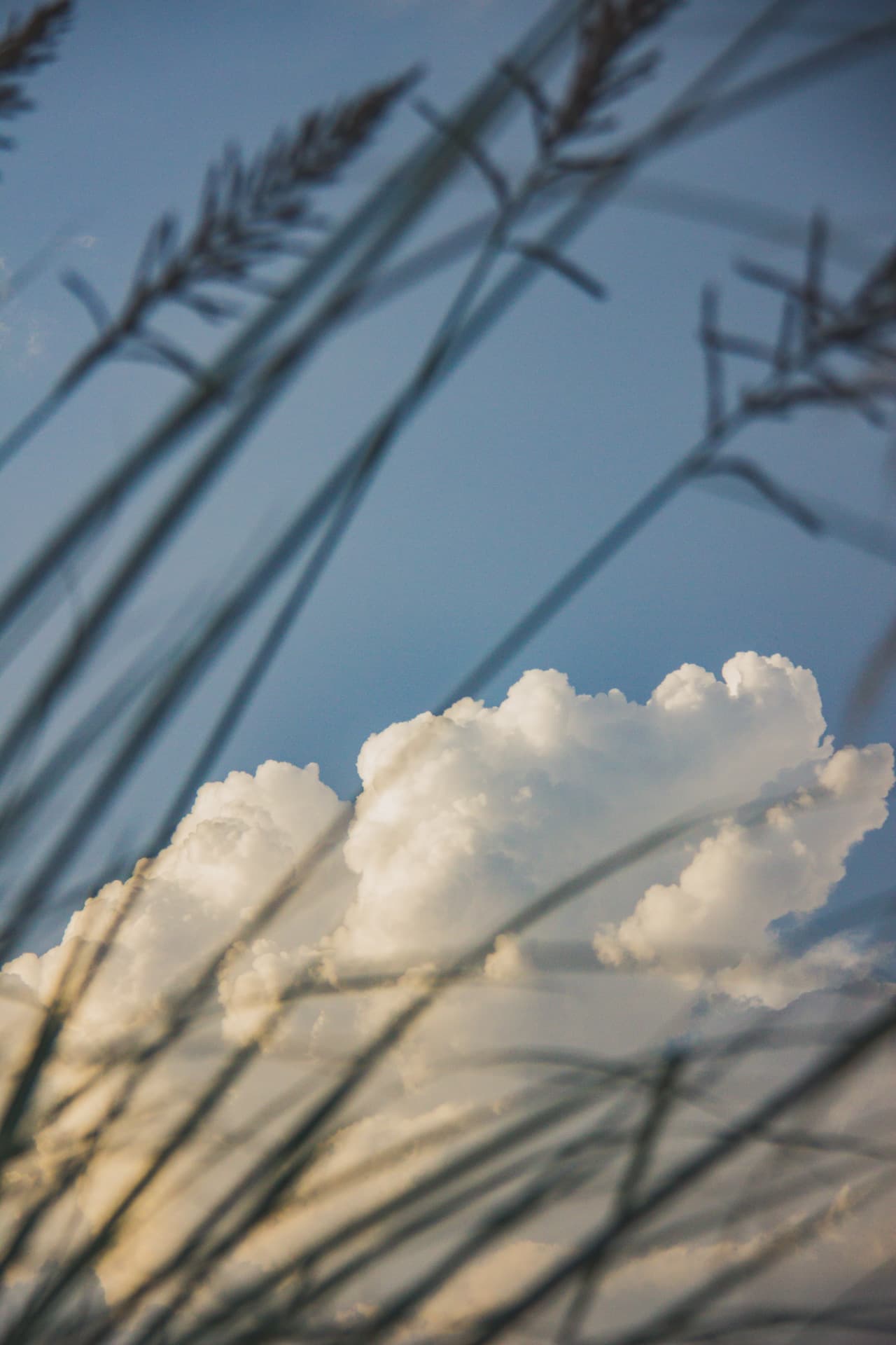Nubes