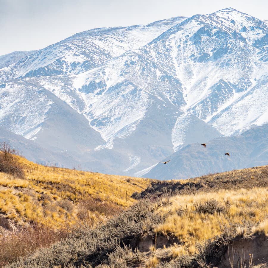 Cordillera nevada