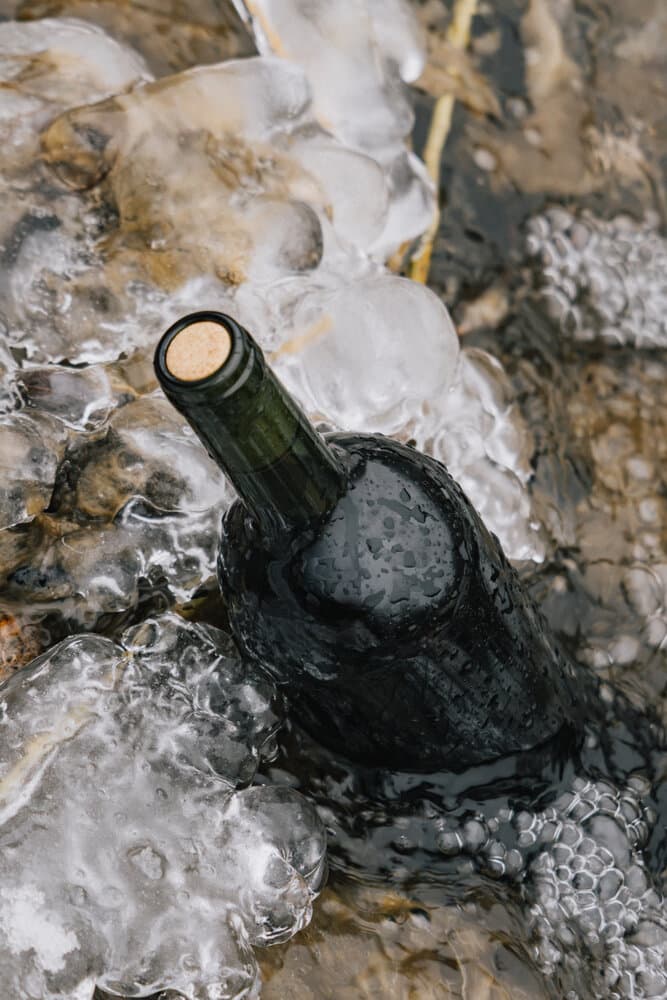 Botella entre el hielo del arroyo