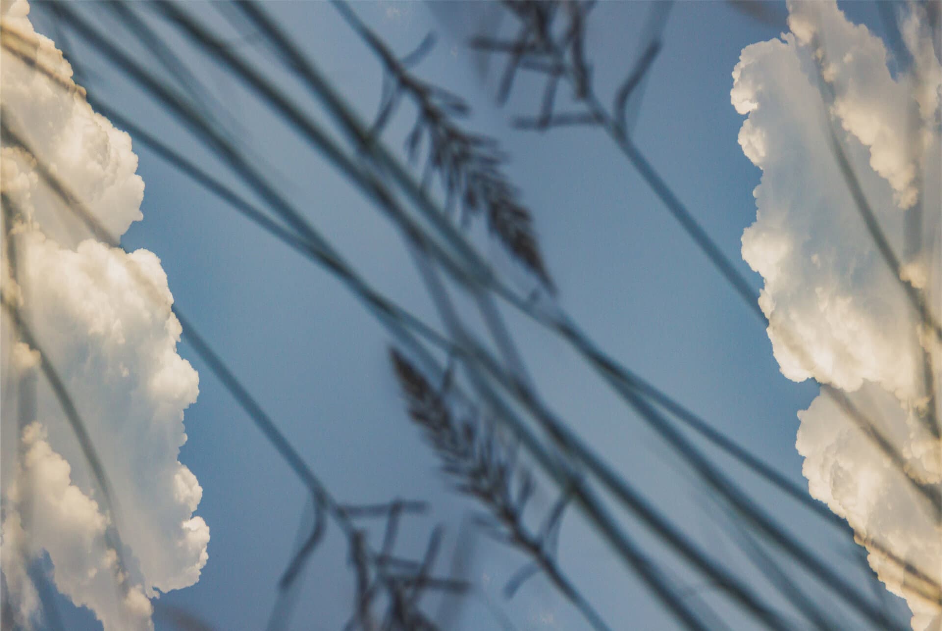 Pastizales recortados contra el cielo